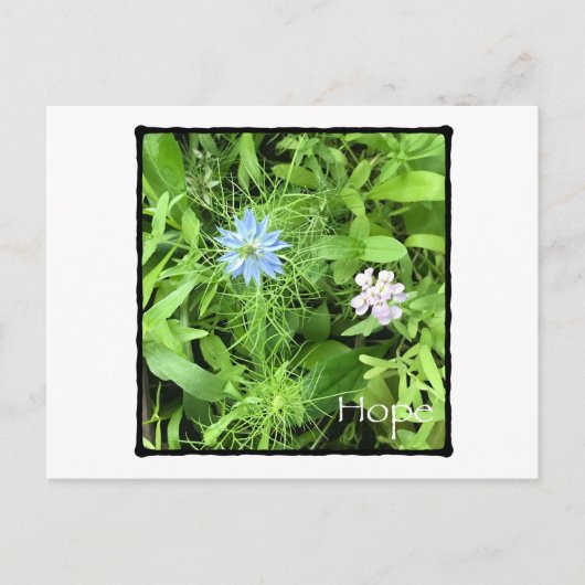 Hope Horizontal Postkarte (Vorderseite)