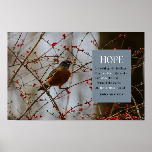 Hope Inspirational Emily Dickinson Bird Quote Poster (Vorne)