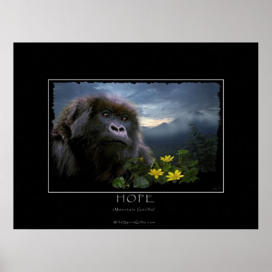 HOPE Mountain Gorilla Wildlife Art Print Poster (Vorne)