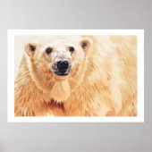 "Hope" Polar Bear Wildlife Watercolor Art Poster (Vorne)