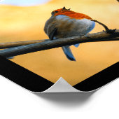 Hope Pro Poster (Ecke)