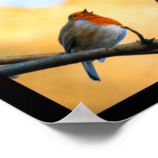 Hope Pro Poster (Ecke)