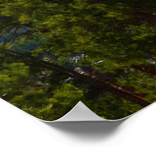 Hope/Support-Poster Poster (Ecke)