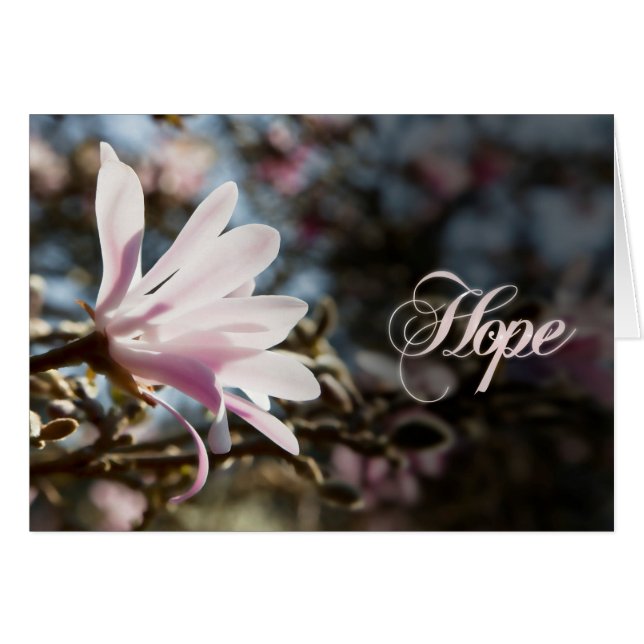 Hope with magnolia (Vorderseite (Horizontal))