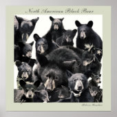 Hope's LIfe Poster (Vorne)