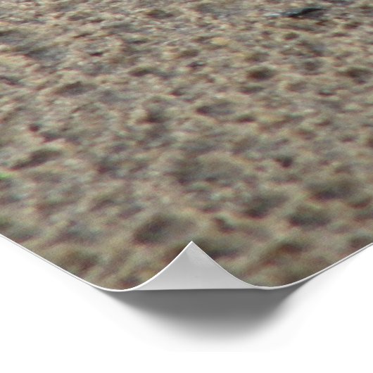 Hope's Pawprints in der Sand Gloss Leinwand UV Poster (Ecke)