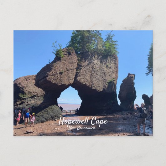Hopewell Cape New Brunswick Postcard Postkarte (Vorderseite)