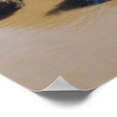 Hopewell Rocks 119 Poster (Ecke)