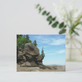 Hopewell Rocks Postkarte (Stehend Vorderseite)