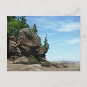 Hopewell Rocks Postkarte