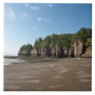 Hopewell Rocks und das Gezeiten-Erkundungsgebiet Fliese