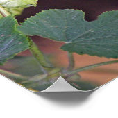 Hopfen Poster (Ecke)