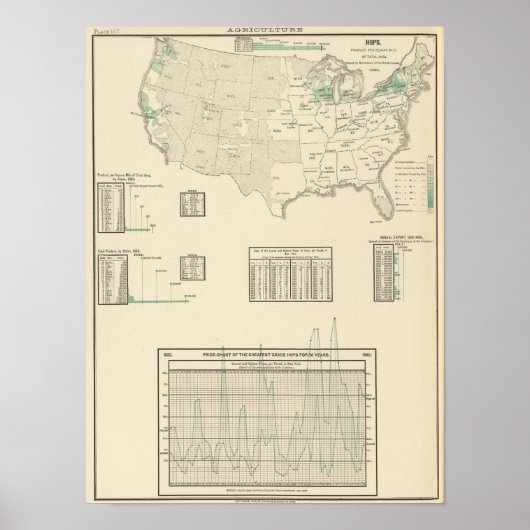 Hopfen Poster (Vorne)