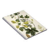 Hopfenrebe, "vom jungen Landsman", veröffentlicht Notizblock (Rechte Seite)