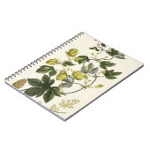 Hopfenrebe, "vom jungen Landsman", veröffentlicht Notizblock (Linke Seite)