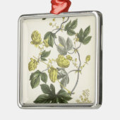 Hopfenrebe, "vom jungen Landsman", veröffentlicht Silbernes Ornament (Links)