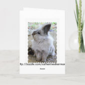 Hopfenreiches Geburtstags-Häschen Karte (Rückseite)