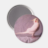 HOPPER-Magnet Magnet (Vorderseite/Rückseite)