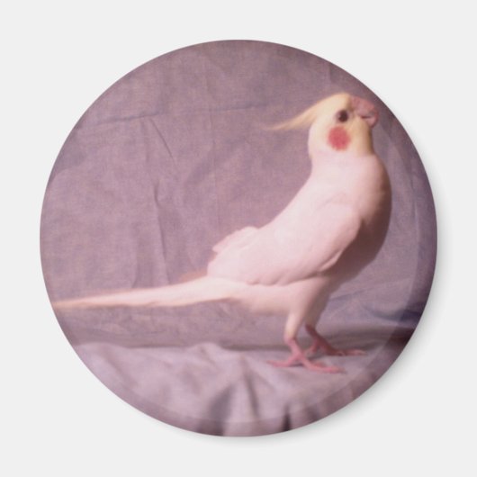 HOPPER-Magnet Magnet (Vorne)