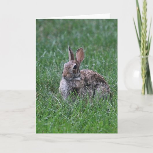 Hopping Karte (Vorderseite)