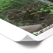 Hoppla! Poster (Ecke)