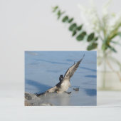 Hoppla! Postkarte (Stehend Vorderseite)