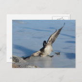 Hoppla! Postkarte (Vorne/Hinten)