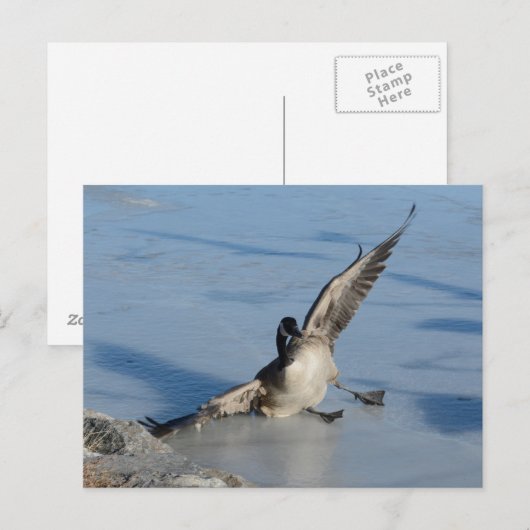 Hoppla! Postkarte (Vorne/Hinten)