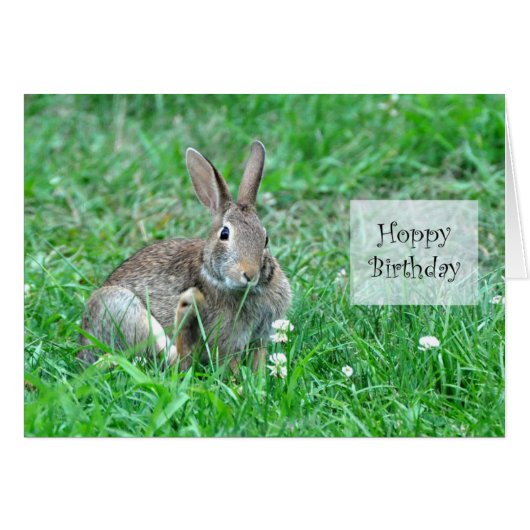 Hoppy Birthday Framework Card (Vorderseite (Horizontal))
