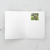 Hoppy Birthday Fun Kangaroo Australia Animal art Karte (Innenseite)