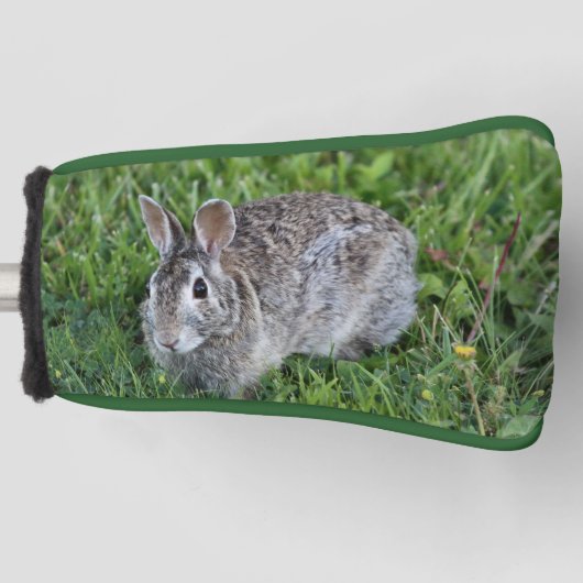 Hoppy Bunny Golf Headcover (Vorderseite)
