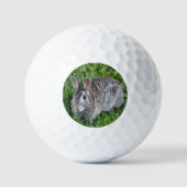 Hoppy Bunny Golfball (Vorderseite)