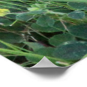 Hoppy Bunny Poster (Ecke)