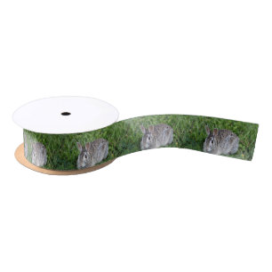 Hoppy Bunny Satinband