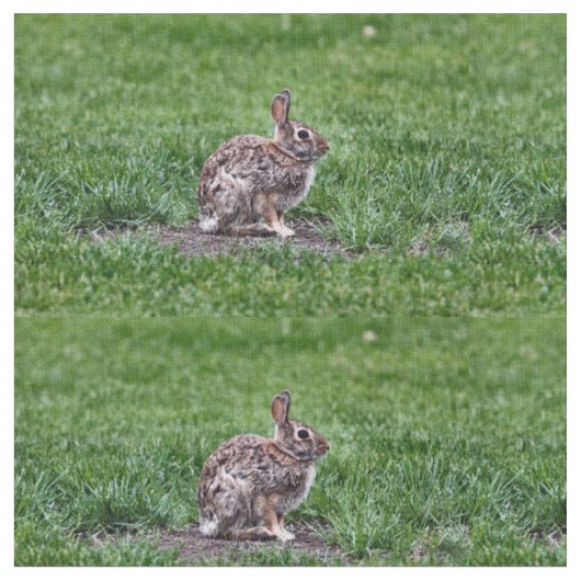 Hoppy Bunny Stoff (Nahaufnahme)