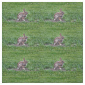 Hoppy Bunny Stoff (Muster)
