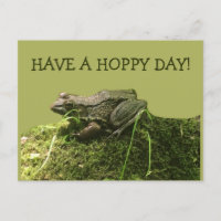 Hoppy Day Frosch Foto grün