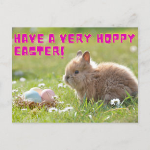 Hoppy Oaster Postcard Postkarte