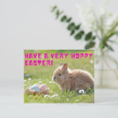 Hoppy Oaster Postcard Postkarte (Stehend Vorderseite)