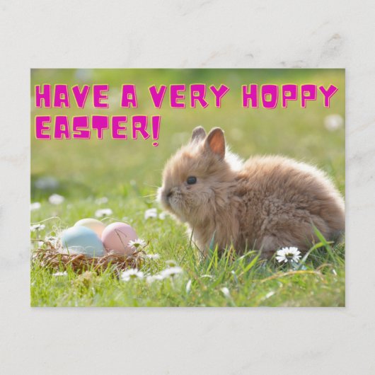 Hoppy Oaster Postcard Postkarte (Vorderseite)