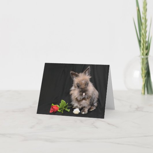 Hoppy Valentine's Day Holiday Card Feiertagskarte (Vorderseite)
