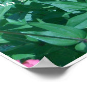 Hör auf, die Blume zu riechen Poster (Ecke)