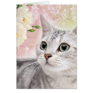 Hör auf, die Rose zu riechen