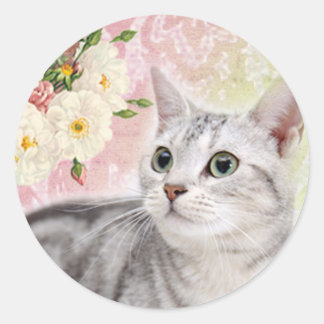 Hör auf, die Rose zu riechen Runder Aufkleber