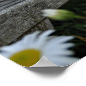 Hör auf, die Wunden zu riechen Poster (Ecke)