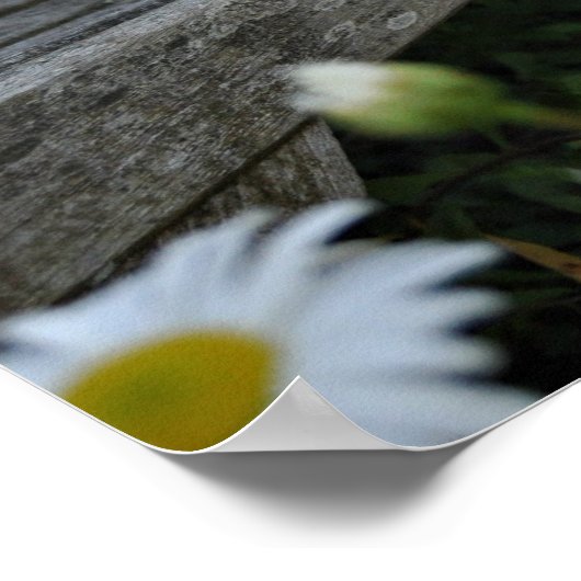 Hör auf, die Wunden zu riechen Poster (Ecke)