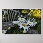 Hör auf, die Wunden zu riechen Poster (Vorne)