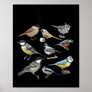Hör auf, meine lustigen Vögel anzustarren Liebhabe Poster