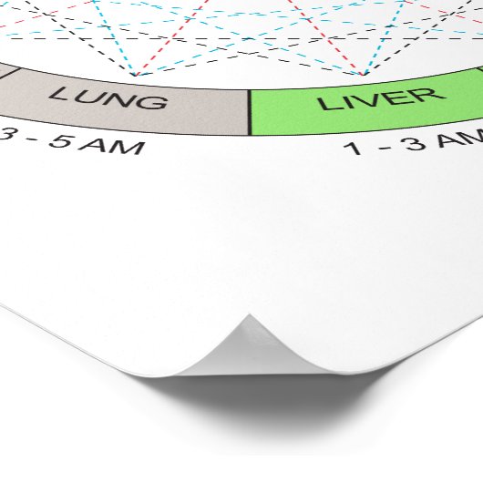 Horary Cycle Acupuncture Art Poster (Ecke)