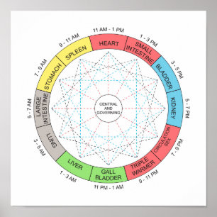 Horary Cycle Acupuncture Art Poster